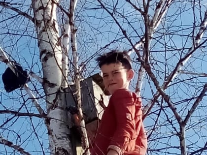 Пусть не смолкает птичий хор!