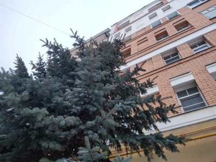 Морозное воскресенье прогнозируют в Калужской области