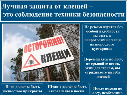 МЧС России по Калужской области предупреждает об опасности укусов клещей