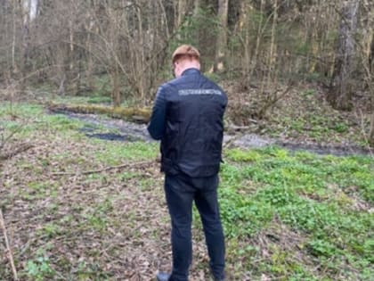Вблизи Балабаново в лесу обнаружили человеческие останки
