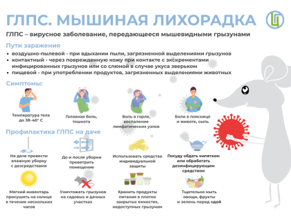 Грызуны могут заразить организм человека опасной инфекцией