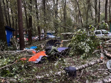 Пострадавших после урагана в Тарусском районе отпустили из больницы