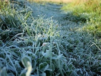 Ночные заморозки придут в Калужскую область