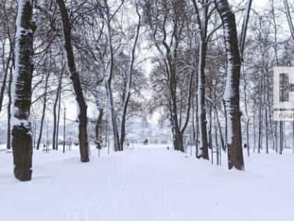 В первые дни 2024 года в Калужской области похолодает до -20 градусов