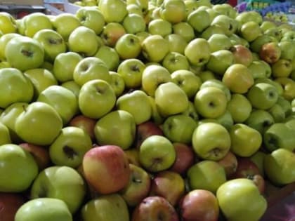 За неделю в Калужской области подорожали яблоки и картофель