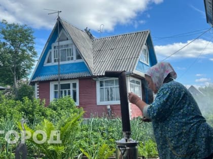 В Калужской области у дачников пострадал урожай и имущество из-за урагана