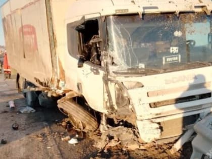 В Калужской области при столкновении грузовика и микроавтобуса пострадали пять человек