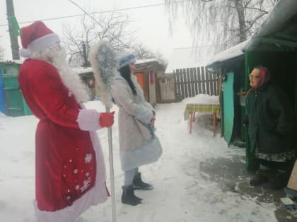 новогодняя поздравительная акция «Дед Мороз и Снегурочка у вас дома».