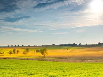 В Калужской области 16 июня температура воздуха приблизится к отметке +30 градусов