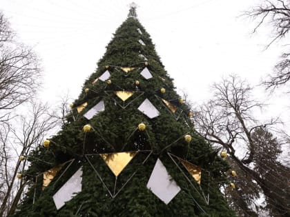 Непогода внесла корректировки в новогоднюю программу в Калуге