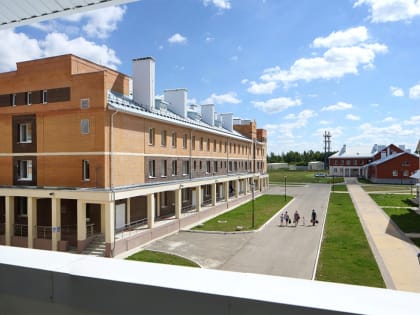 Стая бродячих собак атаковала калужанку с ребенком на руках на территории инфекционки в Грабцево