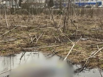 Пропавшую год назад женщину в Обнинске, нашли мёртвой