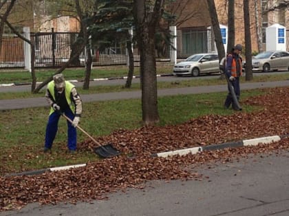 Субботники в наукограде: очищаем город вместе