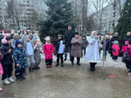 «Чудеса под Новый год»