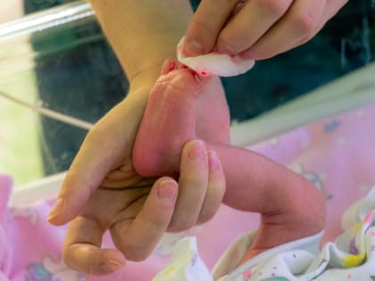 Четыре двойни родилось в День знаний в Калужском перинатальном центре