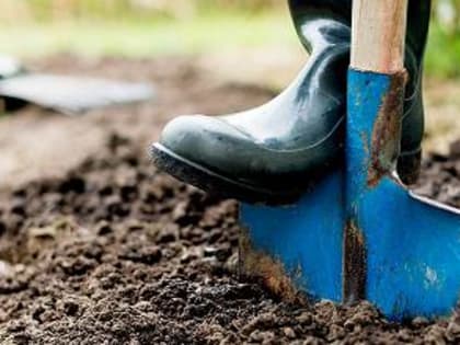 Дачный азарт: чем опасно начало огородного сезона