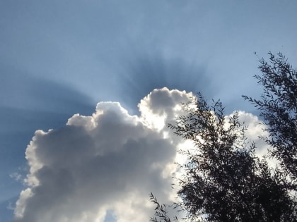 Рабочая неделя в Калуге начнется бодро и без дождя