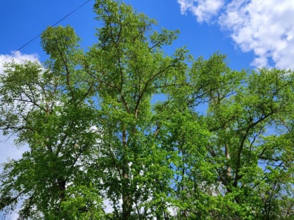 Май начнется с дождей в Калужской области