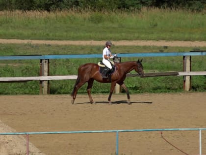 32 спортсмена соревновались в первенстве Калужской области по конному спорту