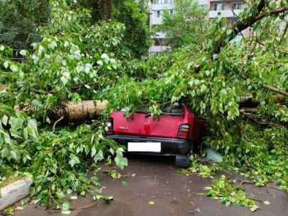 В Калуге бушевавший ураган повалил деревья и оставил районы без света, есть пострадавшие