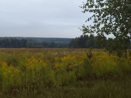 Начало рабочей недели в Калуге придаст свежести и бодрости
