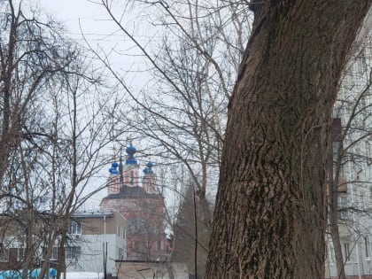 В Калуге воздух прогреется до +8