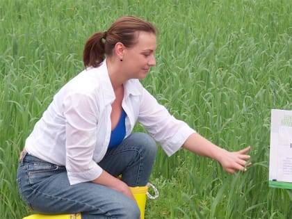 Второй этап Калужского дня поля прошёл в Перемышльском районе