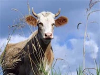 Районы, кварталы Обнинска: школа с музеем Боевой славы, забытый универмаг и грязные дворы