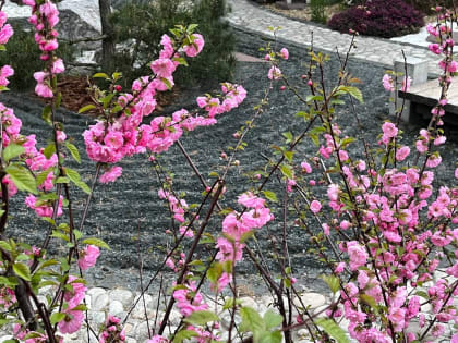 В Калужской области установилась теплая погода