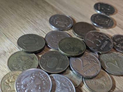 Калужане в рамках акции отнесли в банки 183 000 монет