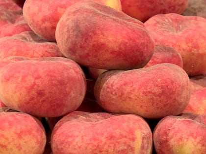 Более 19 тонн зараженных нектаринов выявлено в Калужской области