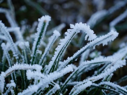 Температура воздуха в Калужской области опустится до -7 градусов