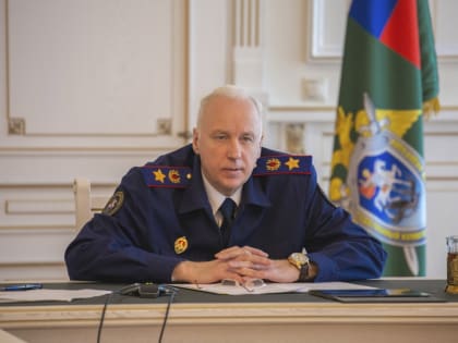 Бастрыкин поручил возбудить уголовное дело из-за избиения школьника в Шопино