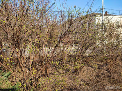 Теплая погода сохранится в Калужской области