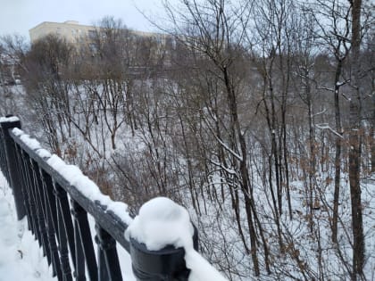 Холодное воскресенье прогнозируют в Калужской области