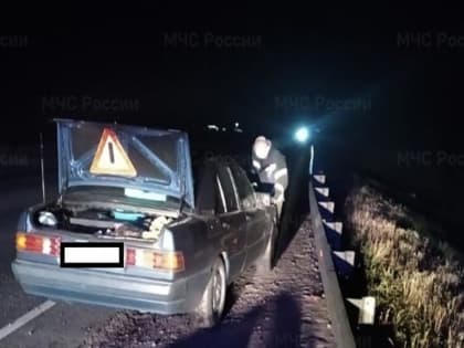 Водитель сбил животное на трассе в Мещовском районе