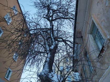 Морозы усилятся в Калужской области