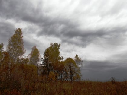 В понедельник 9 октября калужан ждут дождь и холод