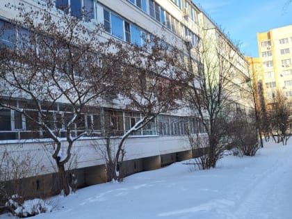 Житель Обнинска вооружился, чтобы отстреливаться от навязчивых собак