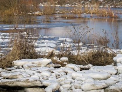 Спасённых детей из Протвы доставили в больницу