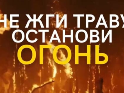 В лесах Калужской области установился 2 класс пожарной опасности