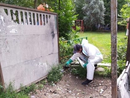 Микрорайон Терепец калужский депутат избавит от крыс за свой счет