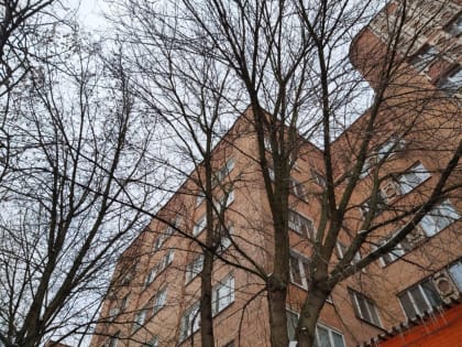 Снег с дождем прогнозируют на выходных