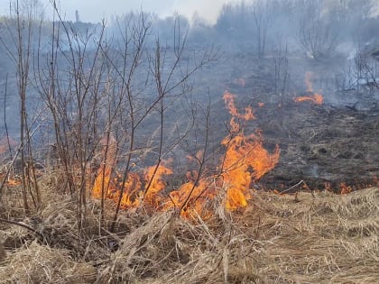 57 палов сухой травы зарегистрировали в Калужской области за сутки