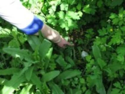 27-летняя жительница Обнинска проведёт 7 лет за решеткой