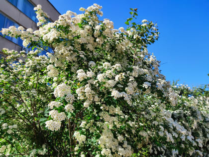 В Калужской области прогнозируют солнечную погоду