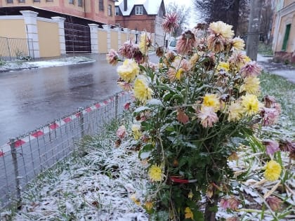 На выходных в Калужской области ожидается потепление