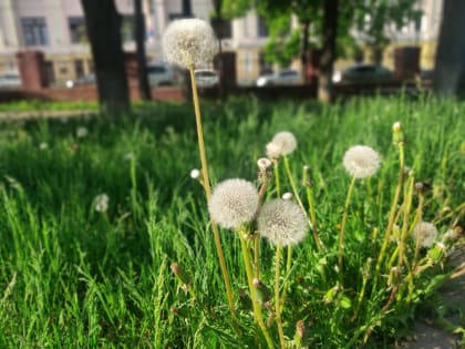 В Калужской области потеплеет до +25