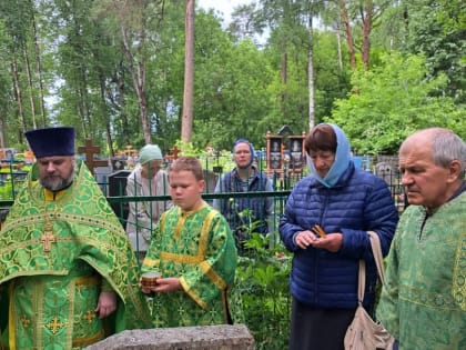 Панихида на могиле протоиерея Николая Витуна