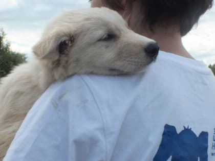 «Новому Ковчегу» — 15 лет!